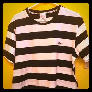 lacoste shirt